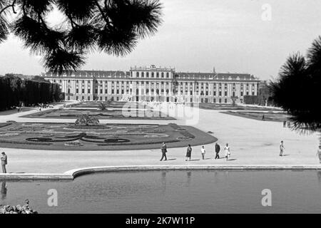 Touristen besuchen Schloss Schönbrunn in Wien, gesehen von der Gloriette, um 1962. Tourists visiting Schönbrunn Castle in Vienna as seen from the glorieta, around 1962. Stock Photo