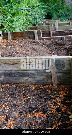 Large wooden compost bins in an English garden - John Gollop Stock Photo