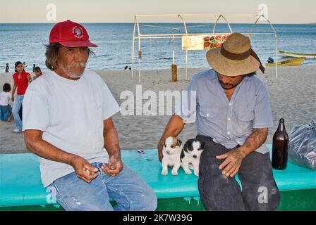 Men, puppies at Malecon,  San Felipe, Baja California, Mexico Stock Photo