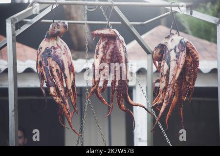 Hanging octopuses being cooked over a low heat at a food festival in Estoril, Lisbon, Portugal. Stock Photo