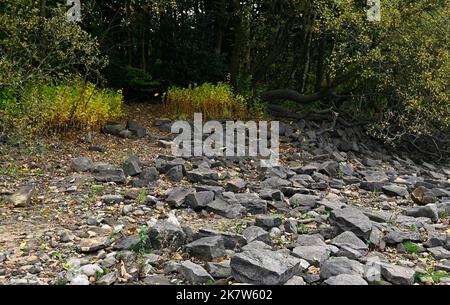 Rivington. UK. 19 October 2022.  Rivington reservoir. A rocky path leads into the forest from the shore of the reservoir. Stock Photo