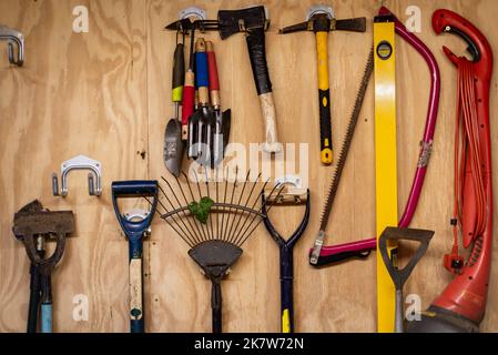 Assortment of DIY gardening tools and equipment hanging organised on wooden wall inside garden shed.  Stock Photo