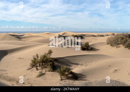 Maspalomas Dunes in Gran Canaria, Canary Islands, Spain Stock Photo