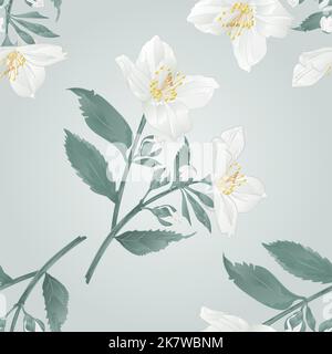 Seamless texture Twig jasmine flowers  with leaves  vector illustration Stock Vector