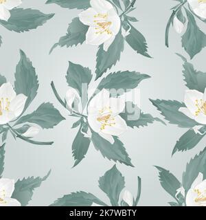 Seamless texture twig jasmine twig flower and buds spring flower  vector illustration Stock Vector