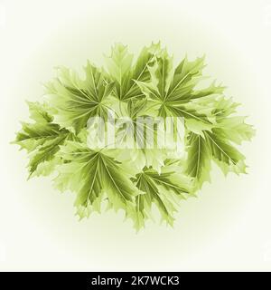 Colored leafs Maple  the green background vector illustration Stock Vector