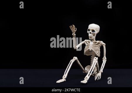 A fake human skeleton sitting on a black background and pointing with his hands at an empty space. Halloween Greeting Card Stock Photo