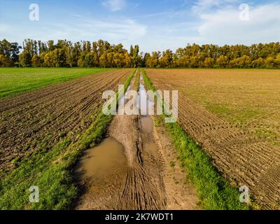 Rural landscape with a muddy dirt road with puddles of water in the sun Stock Photo