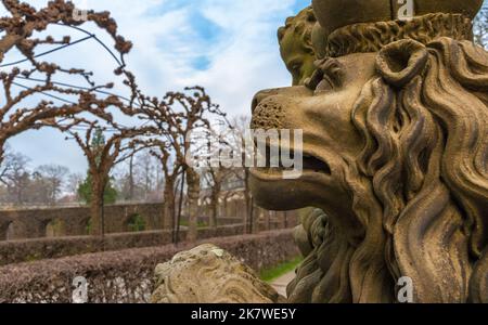 Great close-up view of a male lion sculpture with an open mouth and looking up in the Court Garden of the famous Würzburg Residence, a palace in... Stock Photo