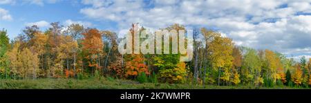 The forest's edge shows off autumn colors in Ellison Bay, Door County, Wisconsin Stock Photo