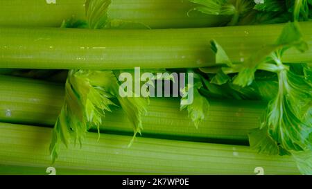 Close-up of celery stalks. Fresh, healthy food Stock Photo