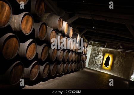 Sandeman port warehouses in Vila Nova de Gaia, in Porto, Portugal, 18 October, 2022. Stock Photo