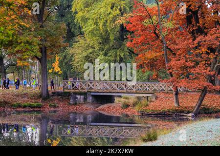 Dülmen, Münsterland, Germany. 19th Oct, 2022. Walkers enjoy the autumnal colours by a pond. The autumn sunshine produces vibrant colours and scenery at Dülmen Nature Reserve in the Münsterland countryside. Credit: Imageplotter/Alamy Live News Stock Photo