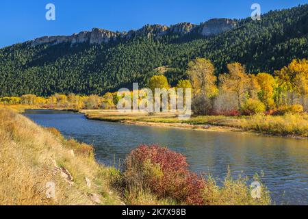 fall colors below high cliffs along the clark fork river near drummond, montana Stock Photo