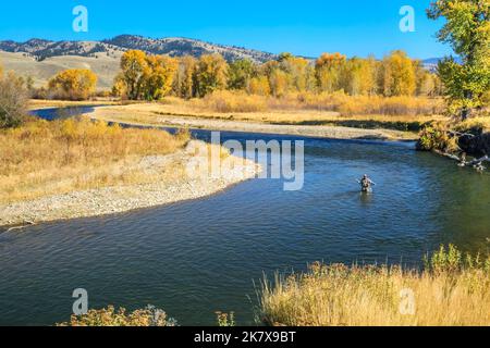 Fall Fly Fishing from Float Boat on North Fork of Flathead River