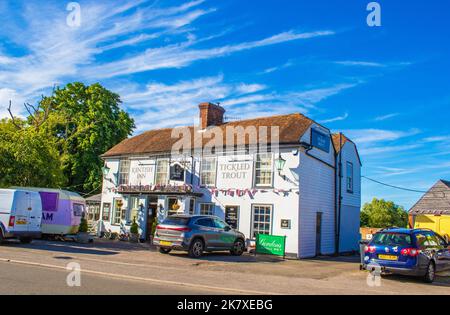 The Tickled Trout pub in Wye village.British pub featuring local fare, outdoor dining in riverside gardens & a rustic, old-world vibe.Wye,Kent,UK Stock Photo