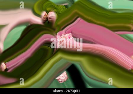 WA22416-00...WASHINGTON - Flowing flowers and leaves. Stock Photo