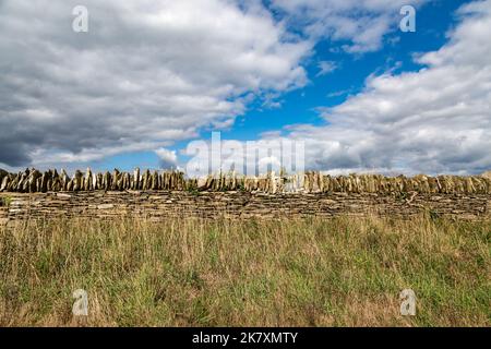 A stone wall in the Devon countryside on a sunny day Stock Photo