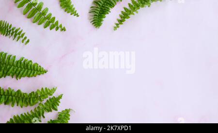 Flay lay of green fern leaves on the left, with copy space on the right. On pink marble background. Stock Photo