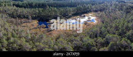 Aerial panoramic photo on Northern forest swamps with fog and low flying clouds above treetops Stock Photo