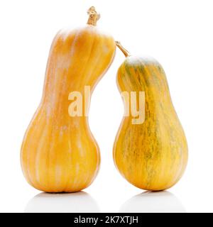 Two ripe orange pumpkins isolated on white background. Stock Photo