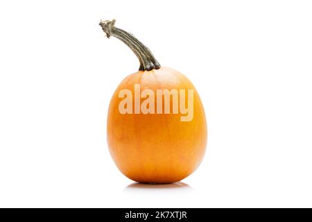 Small orange pumpkin isolated on white background Stock Photo