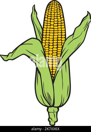 Corn (Corncob with Green Leaves) Color. Vector Illustration. Stock Vector