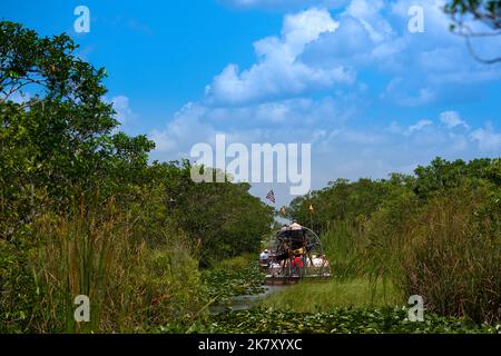 Airboat tour in The Everglades National Park, Florida, United States Stock Photo