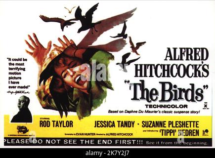 Movie Poster Film: The Birds (USA 1963)   Director: Alfred Hitchcock 28 March 1963   **WARNING** This Photograph is for editorial use only and is the copyright of UNIVERSAL and/or the Photographer assigned by the Film or Production Company and can only be reproduced by publications in conjunction with the promotion of the above Film. A Mandatory Credit To UNIVERSAL is required. The Photographer should also be credited when known. No commercial use can be granted without written authority from the Film Company. Stock Photo