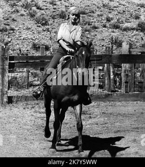 Marilyn Monroe On Horse Film: The Misfits (1961)   Director: John Huston 01 February 1961   **WARNING** This Photograph is for editorial use only and is the copyright of SEVEN ARTS and/or the Photographer assigned by the Film or Production Company and can only be reproduced by publications in conjunction with the promotion of the above Film. A Mandatory Credit To SEVEN ARTS is required. The Photographer should also be credited when known. No commercial use can be granted without written authority from the Film Company. Stock Photo