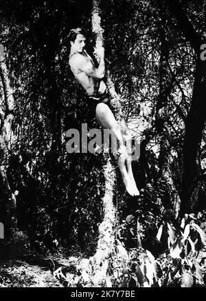 Ron Ely Television: Tarzan (USA 1960) Characters: Tarzan  08 September 1966   **WARNING** This Photograph is for editorial use only and is the copyright of NBC and/or the Photographer assigned by the Film or Production Company and can only be reproduced by publications in conjunction with the promotion of the above Film. A Mandatory Credit To NBC is required. The Photographer should also be credited when known. No commercial use can be granted without written authority from the Film Company. Stock Photo