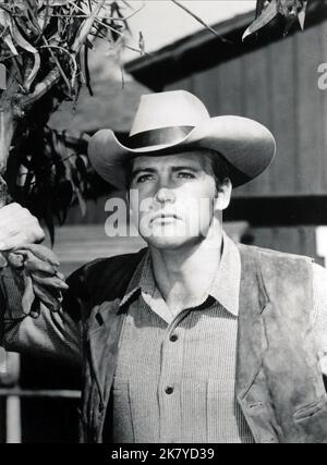 LEE MAJORS in THE BIG VALLEY (1965), directed by A. I. BEZZERIDES