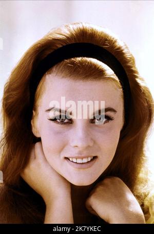 Ann-Margret 1961-1966 ボックスセット Ann-Margret Box set: Ann-Margret 1961 - 1966 (5-CD Deluxe Box Set