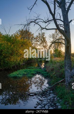 Prairie Creek flows at sunrise through Midewin National Tallgrass Preserve, Will County, Illinois Stock Photo