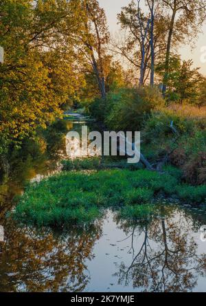 Prairie Creek flows through Midewin National Tallgrass Prairie in Autumn Will County, Illinois Stock Photo