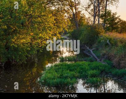 Prairie Creek flows through Midewin National Tallgrass Preserve as the sun rises on a late summer morning, Will County, Illinois Stock Photo