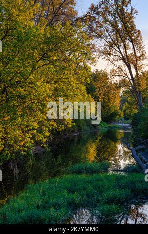 Prairie Creek flows at sunrise through Midewin National Tallgrass Preserve, Will County, Illinois Stock Photo