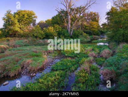 Prairie Creek flows through Midewin National Tallgrass Preserve in late summer, Will County, Illinois Stock Photo