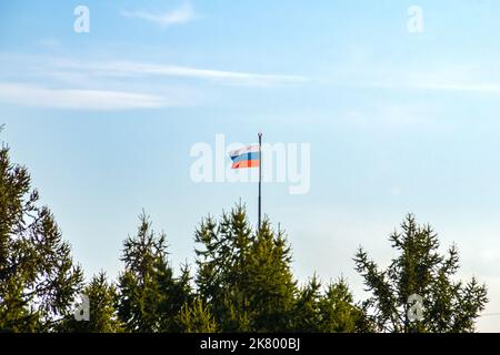 the Russian flag is visible above the coniferous forest on a flagpole with a warning red signal lamp, selective focus Stock Photo