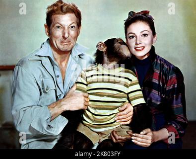 Danny Kaye, Chimp & Pier Angeli Film: Merry Andrew (1951) Characters: Andrew Larabee, & Selena Gallini  Director: Michael Kidd 20 March 1958   **WARNING** This Photograph is for editorial use only and is the copyright of MGM and/or the Photographer assigned by the Film or Production Company and can only be reproduced by publications in conjunction with the promotion of the above Film. A Mandatory Credit To MGM is required. The Photographer should also be credited when known. No commercial use can be granted without written authority from the Film Company. Stock Photo