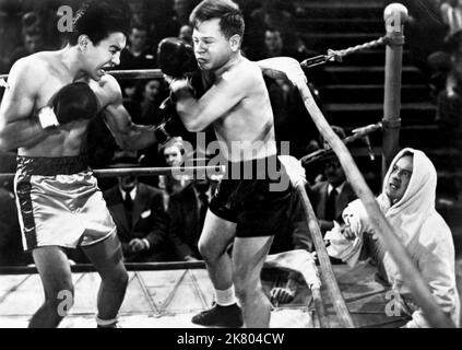 Jack Dempsey, Mickey Rooney & Bob Hope Film: Off Limits; Military Policemen (USA 1952) Characters: Jack Dempsey,Herbert Tuttle & Wally Hogan  / Titel Auch: 'Eintritt Verboten' Director: George Marshall 30 December 1952   **WARNING** This Photograph is for editorial use only and is the copyright of PARAMOUNT PICTURES and/or the Photographer assigned by the Film or Production Company and can only be reproduced by publications in conjunction with the promotion of the above Film. A Mandatory Credit To PARAMOUNT PICTURES is required. The Photographer should also be credited when known. No commercia Stock Photo