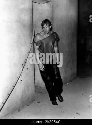 Marlon Brando Film: A Streetcar Named Desire (USA 1951) Characters: Stanley Kowalski  / Literaturverfilmung (Based On The Play By Tennessee Williams) Director: Elia Kazan 09 September 1951   **WARNING** This Photograph is for editorial use only and is the copyright of WARNER BROS. / JACK ALBIN and/or the Photographer assigned by the Film or Production Company and can only be reproduced by publications in conjunction with the promotion of the above Film. A Mandatory Credit To WARNER BROS. / JACK ALBIN is required. No commercial use can be granted without written authority from the Film Company. Stock Photo