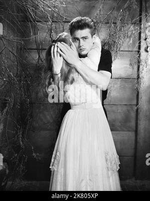 Julie Harris & James Dean Film: East Of Eden (USA 1955) Characters: Abra, Cal Trask  / Literaturverfilmung (Based On The Novel By John Steinbeck) Director: Elia Kazan 09 March 1955   **WARNING** This Photograph is for editorial use only and is the copyright of WARNER BROS. and/or the Photographer assigned by the Film or Production Company and can only be reproduced by publications in conjunction with the promotion of the above Film. A Mandatory Credit To WARNER BROS. is required. The Photographer should also be credited when known. No commercial use can be granted without written authority fro Stock Photo