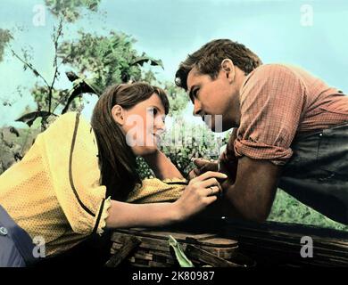 Julie Harris & James Dean Film: East Of Eden (USA 1955) Characters: Abra & Cal Trask  / Literaturverfilmung (Based On The Novel By John Steinbeck) Director: Elia Kazan 09 March 1955   **WARNING** This Photograph is for editorial use only and is the copyright of WARNER BROS. and/or the Photographer assigned by the Film or Production Company and can only be reproduced by publications in conjunction with the promotion of the above Film. A Mandatory Credit To WARNER BROS. is required. The Photographer should also be credited when known. No commercial use can be granted without written authority fr Stock Photo