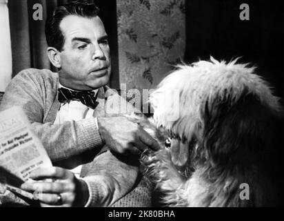 Fred Macmurray & Sheepdog Film: The Shaggy Dog (USA 1959) Characters: WILSON DANIELS,  Director: Charles Barton 19 March 1959   **WARNING** This Photograph is for editorial use only and is the copyright of WALT DISNEY and/or the Photographer assigned by the Film or Production Company and can only be reproduced by publications in conjunction with the promotion of the above Film. A Mandatory Credit To WALT DISNEY is required. The Photographer should also be credited when known. No commercial use can be granted without written authority from the Film Company. Stock Photo