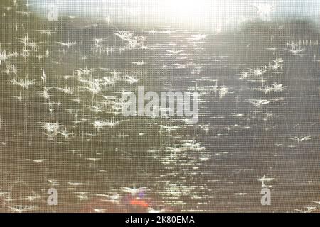 Sunlight on masked grid. Texture of bright rays. Glare on fine mosquito net. Window details. Stock Photo