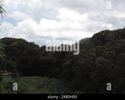 Beautiful landscape shorts in Sri Lanka Stock Photo