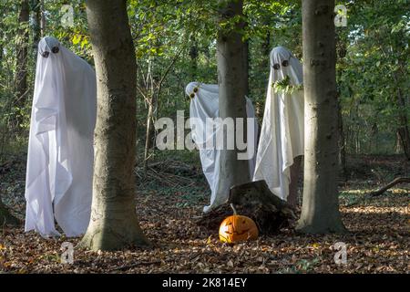 Three ghosts are having a Halloween party in the woods Stock Photo
