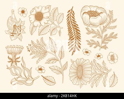 Collection vintage floral motif. William Moriss style art and craft movement. Design outline flower symbol. Stock Vector