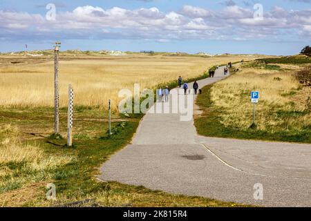 Hiking trail through the dune landscape in Sankt Peter-Ording Stock Photo